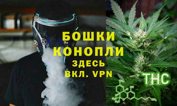 гидра Абаза