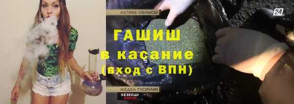 гидра Абаза