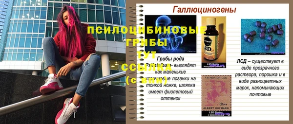 гидра Абаза