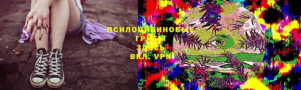 гидра Абаза