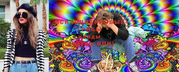 гашик Абинск