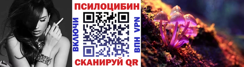 где найти наркотики  Горячеводский  Галлюциногенные грибы Psilocybine cubensis 